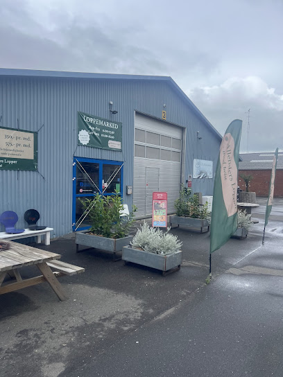 AF1QipM Oy2IvVH48cgrW3QmKk94gaeLj ZVuZmwgo8w408 h544 k no