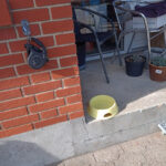 AF1QipM4UfLotMBfEcuF1Q1DqzDd3Er30XT52iwJ 0fEw408 h543 k no