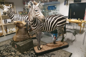 Skjold Antik ApS - Hørve 23 Skjold Antik ApS – Hørve