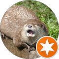 Shalinado